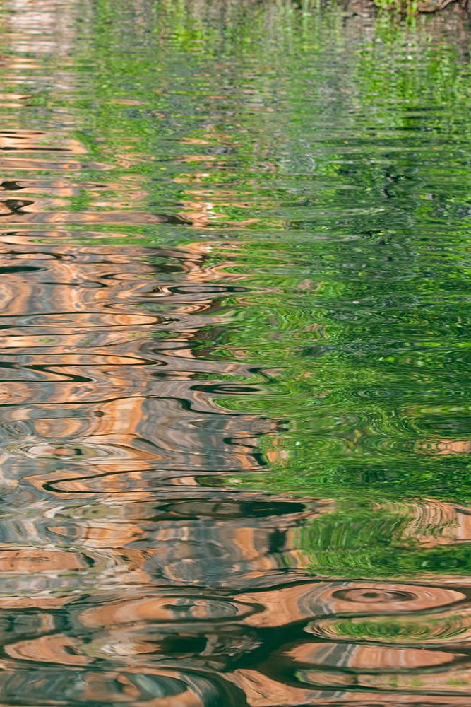 Western Australia-Kimberley-Balanggarra Country-King George River. River reflection.